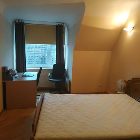 Red Nose Roof-Top Apartment รีกา ภายนอก รูปภาพ