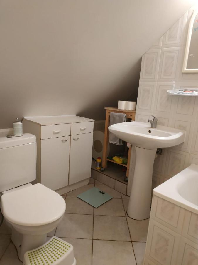 Red Nose Roof-Top Apartment รีกา ภายนอก รูปภาพ
