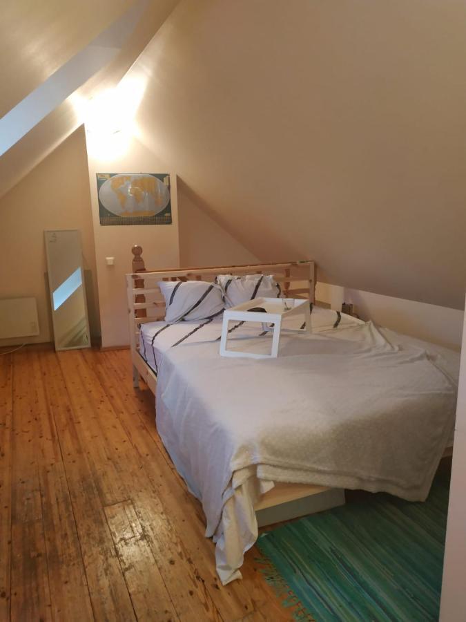 Red Nose Roof-Top Apartment รีกา ภายนอก รูปภาพ