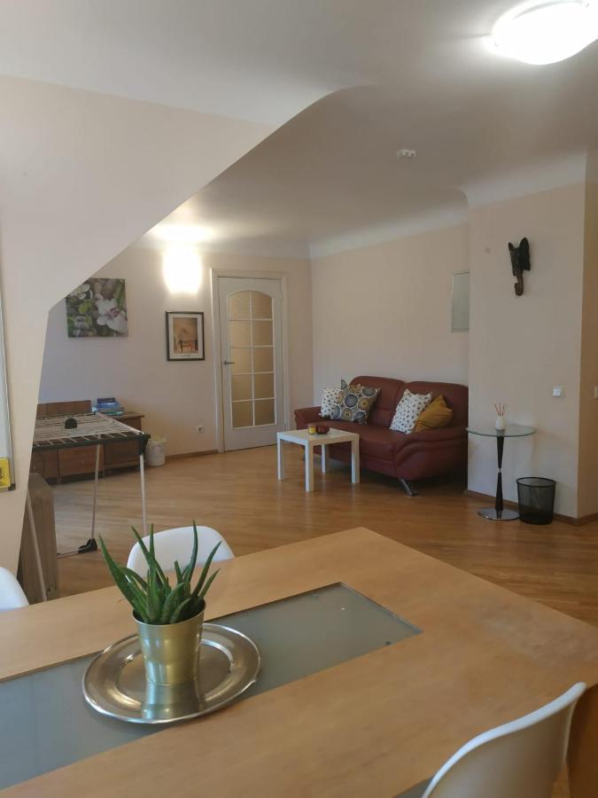 Red Nose Roof-Top Apartment รีกา ภายนอก รูปภาพ